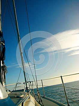 Sailing Adelaide photo