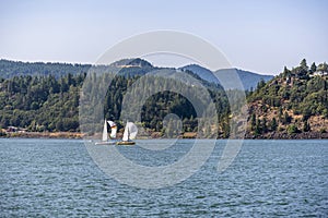 Sailing along the Columbia River with forests on the hills and mountains in the Hood River on a sunny day