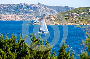 Isola dei Gabbiani bay, Palau La Maddalena Sardinia Italy photo