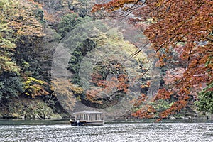 Sailing boat in autumn, Arashiyama, Kyoto, Japan