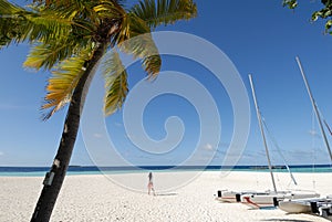 Sailing boat on the beach