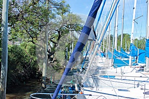 Sailing Boat Detail Mediterranean Summer Blue Sunny