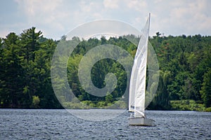 Sailing Boat on a large canadian lake  in Quebec