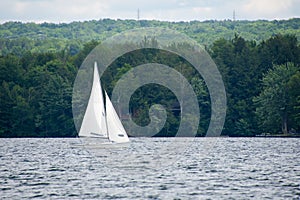 Sailing Boat on a large canadian lake  in Quebec