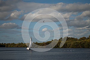 Sailing Boat on the Norfolk Broads