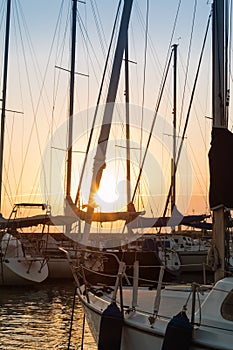 Sailing Boat`s Masts: Dock Seaside