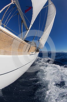 Sailing boat in the sea