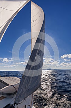 Sailing boat in the sea