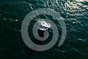Sailing boat at sea, aerial