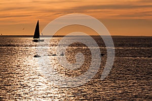 Sailing boat silhouette at sunset