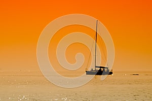 Sailing boat in sunset