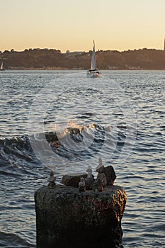 Sailing boat during sunset in Lisbon, Portugal