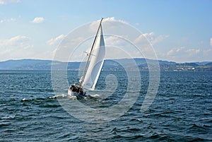 Sailing boat wind on a lake