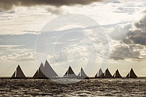 Sailing boats 10