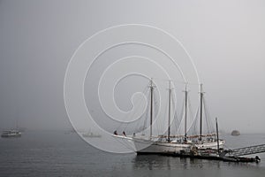 Sailing boats in Bar Harbor