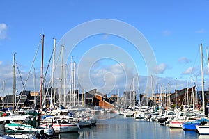 Sailing boats in Habor