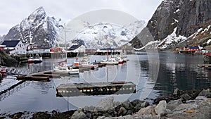 Sailing boats in Hamnoy harbour at Reinefjorden on the Lofoten in Norway in winter
