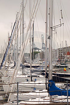 Sailing boats in marine. Sailing vessels in a harbor.