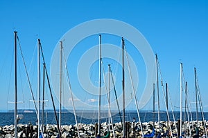 Sailing boats masts at mooring line on Pacific ocean harbor.
