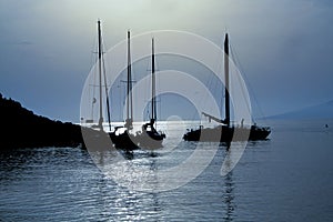 Sailing boats in the moonlight