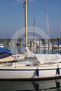 Sailing Boats At The Port Of Constance