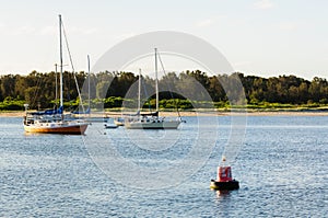 Sailing boats - Port Macquarie