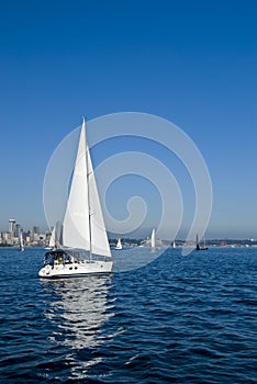 Sailing boats racing