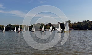 Sailing boats on river Sava