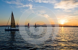 Sailing boats at sunset