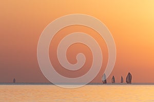 Sailing boats during sunset over a calm sea