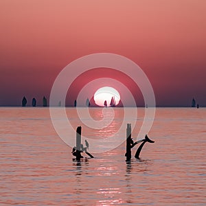 Sailing boats during sunset over a calm sea