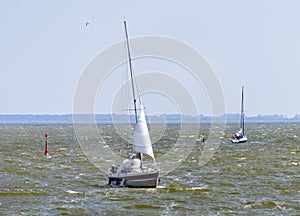 Sailing boats on the Zingster Bodden