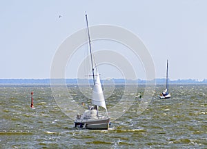 Sailing boats on the Zingster Bodden photo
