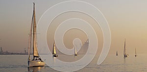 Sailing in the Calm Arabian Gulf Evening