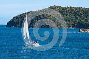 Sailing in Caribbean Sea. Sailer sailing near Mayreau Island  Grenadines  Caribbean Sea