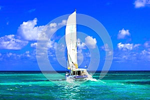 Sailing catamaran in open sea in sunny weather