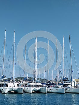 Sailing catamarans are lined up in the marina on a sunny day