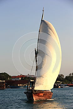 Sailing Dhow