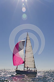 Sailing In The Evening Sun