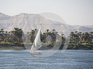 Sailing felluca on the river Nile