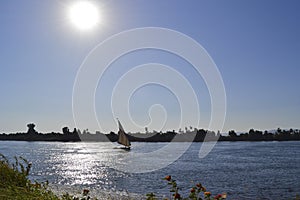 Sailing felluca on the river Nile