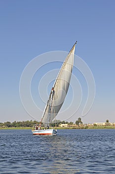 Sailing felluca on the river Nile