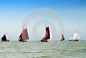 Sailing Fishing Boats on the IJsselmeer, Holland