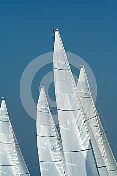 Sailing in Good Wind / sails background