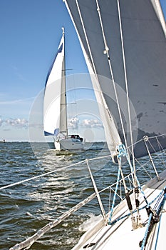 Sailing on the IJsselmeer in the Netherlands photo