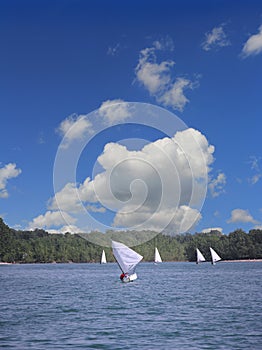 Sailing on the lake