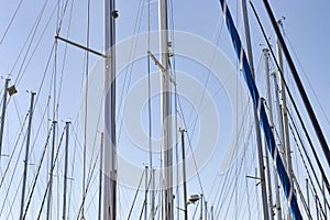 Sailing masts in the marina in a sunny day