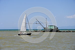 Sailing on the mouth of the Arno