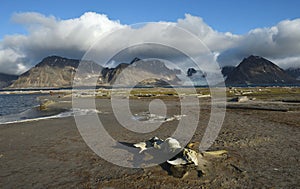 Landscapes of Svalbard / Spitsbergen photo