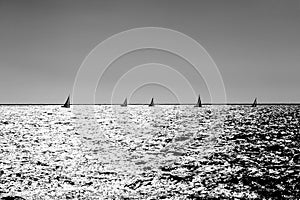 sailing racing boats in a silver sea